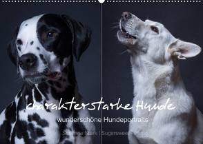 charakterstarke Hunde, wunderschöne Hundeportraits (Wandkalender 2023 DIN A2 quer) von Stark Sugarsweet - Photo,  Susanne