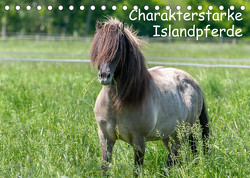 Charakterstarke Islandpferde (Tischkalender 2023 DIN A5 quer) von Berkenkamp,  Britta