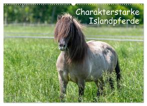 Charakterstarke Islandpferde (Wandkalender 2024 DIN A2 quer), CALVENDO Monatskalender von Berkenkamp,  Britta