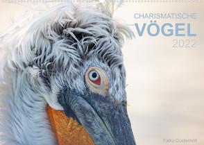 Charismatische Vögel (Wandkalender 2022 DIN A2 quer) von Düsterhöft,  Falko