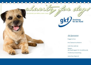 Charity for Dogs – der Kalender zum Wohle unserer Hunde (Tischkalender 2023 DIN A5 quer) von Hundeimpressionen