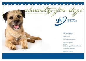Charity for Dogs – der Kalender zum Wohle unserer Hunde (Tischkalender 2024 DIN A5 quer), CALVENDO Monatskalender von Hundeimpressionen,  Hundeimpressionen