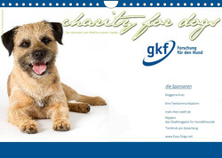 Charity for Dogs – der Kalender zum Wohle unserer Hunde (Wandkalender 2022 DIN A4 quer) von Hundeimpressionen