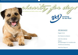 Charity for Dogs – der Kalender zum Wohle unserer Hunde (Wandkalender 2023 DIN A2 quer) von Hundeimpressionen