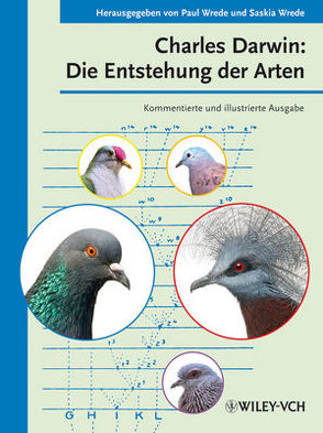 Charles Darwin: Die Entstehung der Arten von Wrede,  Paul, Wrede,  Saskia