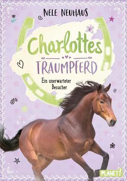 Charlottes Traumpferd 3: Ein unerwarteter Besucher von Neuhaus,  Nele, Seidel,  Maria