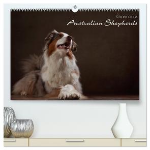 Charmante Australian Shepherds (hochwertiger Premium Wandkalender 2024 DIN A2 quer), Kunstdruck in Hochglanz von Behr,  Jana