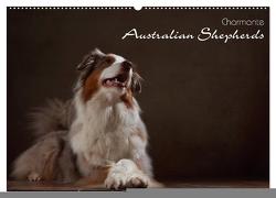 Charmante Australian Shepherds (Wandkalender 2024 DIN A2 quer), CALVENDO Monatskalender von Behr,  Jana