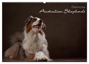 Charmante Australian Shepherds (Wandkalender 2024 DIN A2 quer), CALVENDO Monatskalender von Behr,  Jana