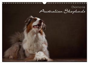 Charmante Australian Shepherds (Wandkalender 2024 DIN A3 quer), CALVENDO Monatskalender von Behr,  Jana