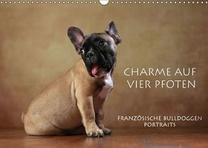 Charme auf vier Pfoten – Französische Bulldoggen Portraits (Wandkalender 2018 DIN A3 quer) von Behr,  Jana