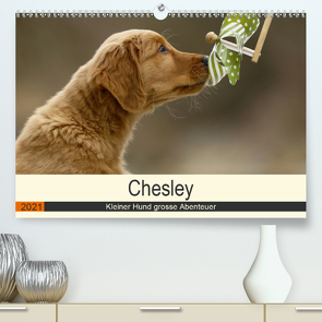 Chesley Kleiner Hund grosse Abenteuer (Premium, hochwertiger DIN A2 Wandkalender 2021, Kunstdruck in Hochglanz) von Bea Müller,  Hundefotografie