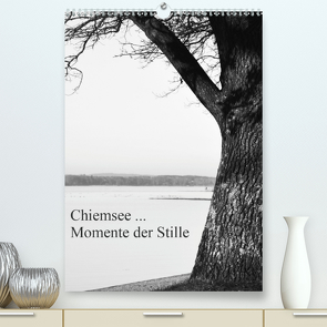 Chiemsee … Momente der Stille (Premium, hochwertiger DIN A2 Wandkalender 2021, Kunstdruck in Hochglanz) von Wasinger,  Renate