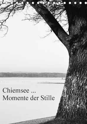 Chiemsee … Momente der Stille (Tischkalender 2018 DIN A5 hoch) von Wasinger,  Renate