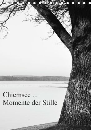 Chiemsee … Momente der Stille (Tischkalender 2019 DIN A5 hoch) von Wasinger,  Renate
