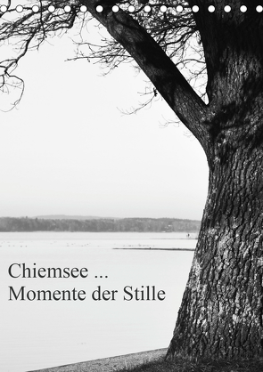 Chiemsee … Momente der Stille (Tischkalender 2021 DIN A5 hoch) von Wasinger,  Renate