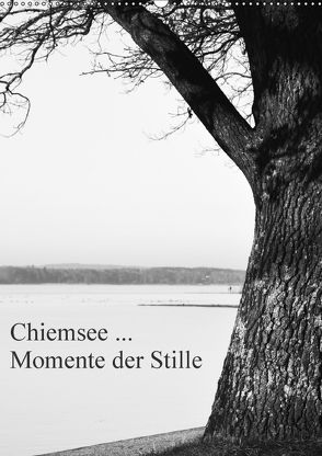 Chiemsee … Momente der Stille (Wandkalender 2018 DIN A2 hoch) von Wasinger,  Renate