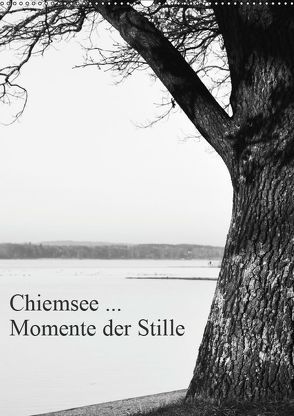 Chiemsee … Momente der Stille (Wandkalender 2019 DIN A2 hoch) von Wasinger,  Renate