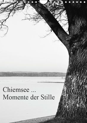 Chiemsee … Momente der Stille (Wandkalender 2019 DIN A4 hoch) von Wasinger,  Renate