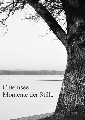 Chiemsee … Momente der Stille (Wandkalender 2020 DIN A2 hoch) von Wasinger,  Renate