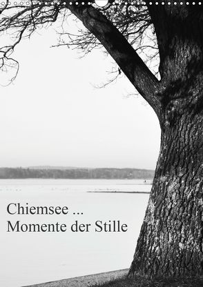 Chiemsee … Momente der Stille (Wandkalender 2020 DIN A3 hoch) von Wasinger,  Renate