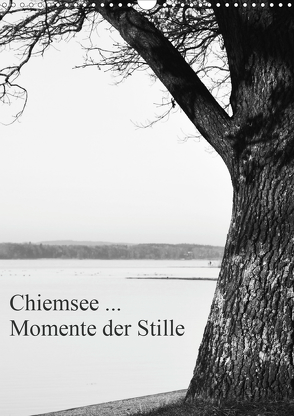 Chiemsee … Momente der Stille (Wandkalender 2021 DIN A3 hoch) von Wasinger,  Renate