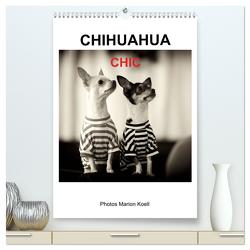CHIHUAHUA CHIC Photos Marion Koell (hochwertiger Premium Wandkalender 2024 DIN A2 hoch), Kunstdruck in Hochglanz von KOELL,  MARION