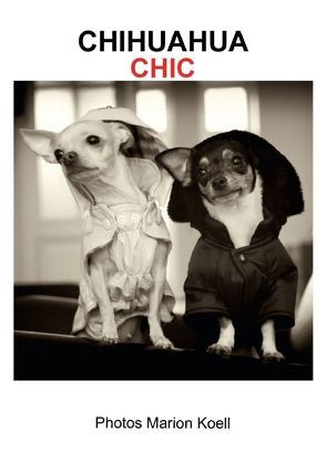 CHIHUAHUA CHIC Photos Marion Koell (Posterbuch DIN A2 hoch) von KOELL,  MARION