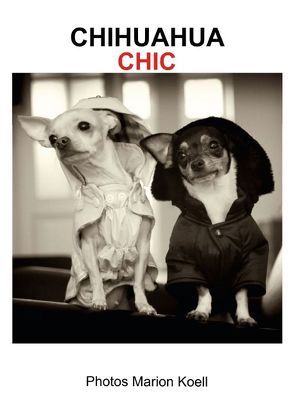 CHIHUAHUA CHIC Photos Marion Koell (Posterbuch DIN A4 hoch) von KOELL,  MARION