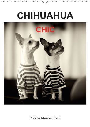 CHIHUAHUA CHIC Photos Marion Koell (Wandkalender 2019 DIN A3 hoch) von KOELL,  MARION