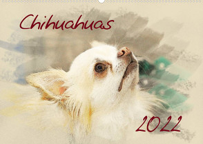 Chihuahuas 2022 (Wandkalender 2022 DIN A2 quer) von Redecker,  Andrea