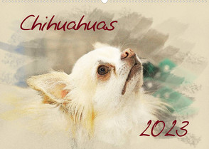 Chihuahuas 2023 (Wandkalender 2023 DIN A2 quer) von Redecker,  Andrea