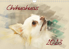 Chihuahuas 2023 (Wandkalender 2023 DIN A4 quer) von Redecker,  Andrea