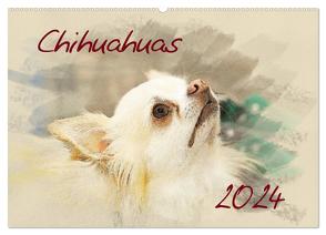 Chihuahuas 2024 (Wandkalender 2024 DIN A2 quer), CALVENDO Monatskalender von Redecker,  Andrea