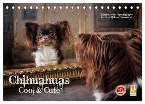 Chihuahuas – Cool and Cute (Tischkalender 2024 DIN A5 quer), CALVENDO Monatskalender von Pinkoss Photostorys,  Oliver