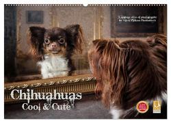 Chihuahuas – Cool and Cute (Wandkalender 2024 DIN A2 quer), CALVENDO Monatskalender von Pinkoss Photostorys,  Oliver
