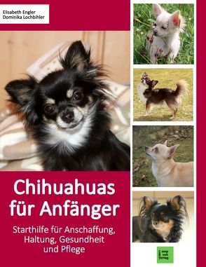 Chihuahuas für Anfänger von Engler,  Elisabeth, Lochbihler,  Dominika