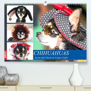 Chihuahuas. Zuckersüße Hunde im lustigen Outfit (Premium, hochwertiger DIN A2 Wandkalender 2023, Kunstdruck in Hochglanz) von Hurley,  Rose