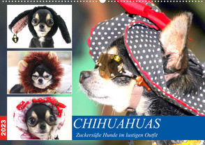 Chihuahuas. Zuckersüße Hunde im lustigen Outfit (Wandkalender 2023 DIN A2 quer) von Hurley,  Rose