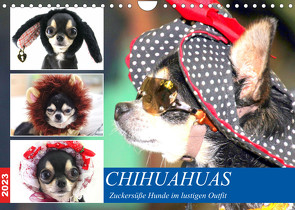 Chihuahuas. Zuckersüße Hunde im lustigen Outfit (Wandkalender 2023 DIN A4 quer) von Hurley,  Rose