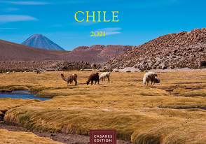 Chile 2021 S 35x24cm