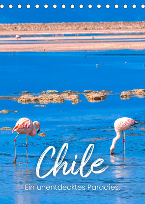 Chile – Ein unentdecktes Paradies. (Tischkalender 2023 DIN A5 hoch) von SF