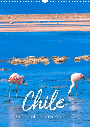 Chile – Ein unentdecktes Paradies. (Wandkalender 2023 DIN A3 hoch) von SF