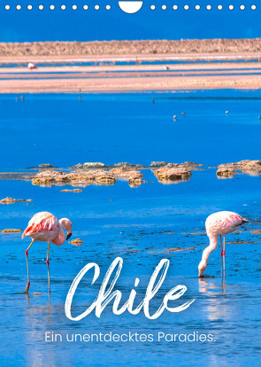 Chile – Ein unentdecktes Paradies. (Wandkalender 2023 DIN A4 hoch) von SF