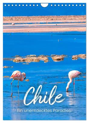 Chile – Ein unentdecktes Paradies. (Wandkalender 2024 DIN A4 hoch), CALVENDO Monatskalender von SF,  SF