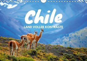 Chile – Land voller Kontraste (Wandkalender 2019 DIN A4 quer) von Tischer,  Daniel