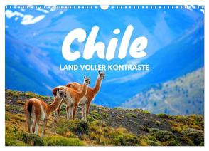 Chile – Land voller Kontraste (Wandkalender 2024 DIN A3 quer), CALVENDO Monatskalender von Tischer,  Daniel