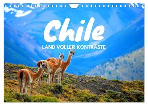 Chile – Land voller Kontraste (Wandkalender 2024 DIN A4 quer), CALVENDO Monatskalender von Tischer,  Daniel