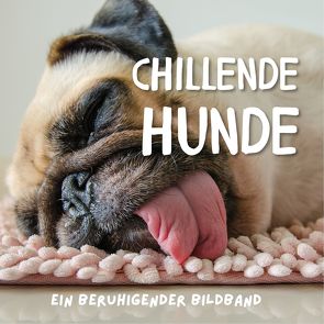 Chillende Hunde von Gruber,  Stefan