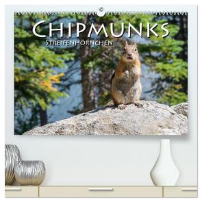 Chipmunks Streifenhörnchen (hochwertiger Premium Wandkalender 2024 DIN A2 quer), Kunstdruck in Hochglanz von Styppa,  Robert